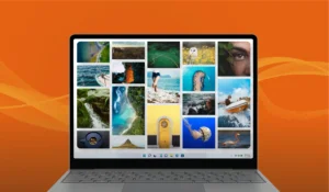 Read more about the article 17 Best Royalty Free Stock Images Downloading Sites