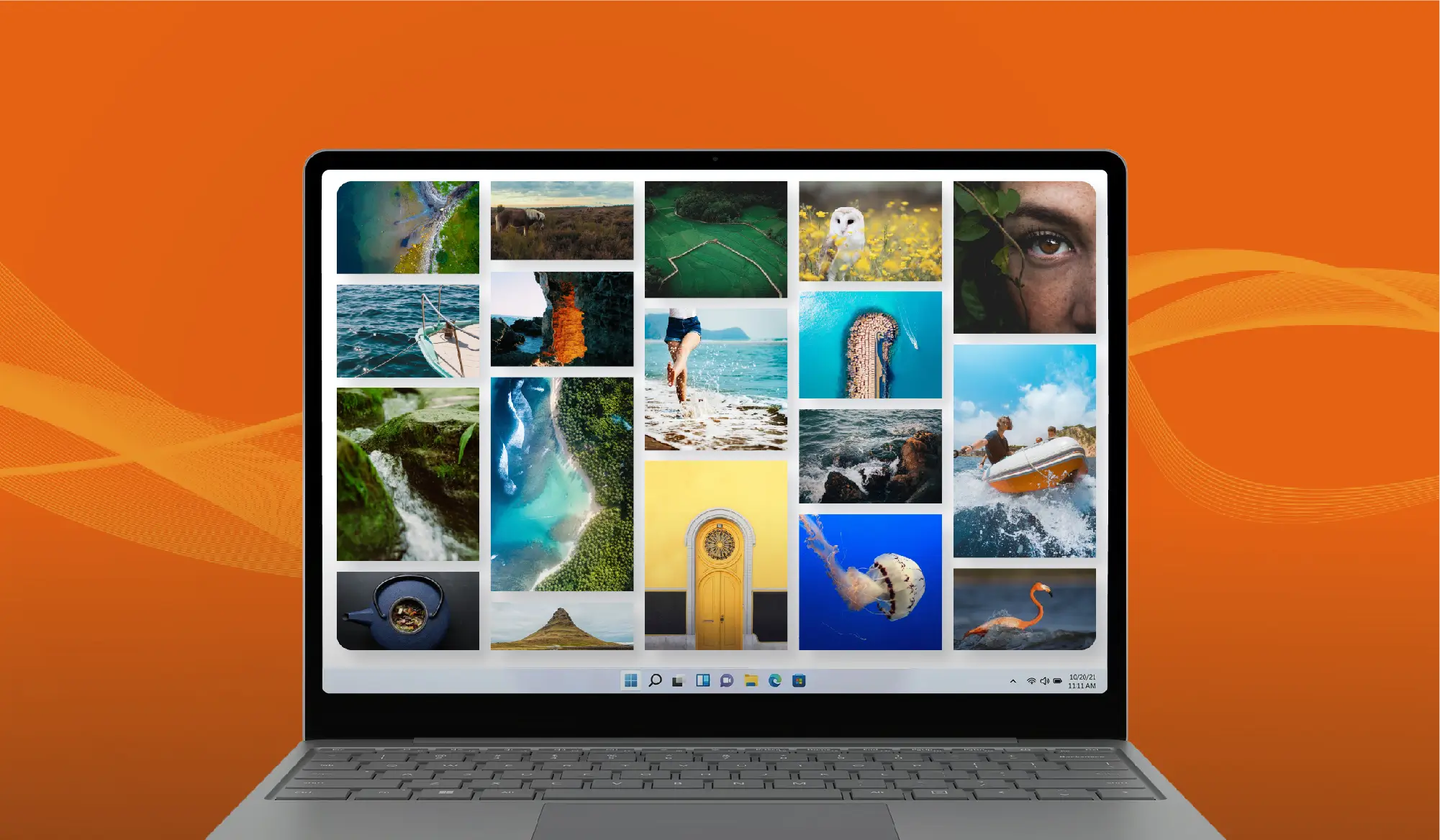 You are currently viewing 17 Best Royalty Free Stock Images Downloading Sites