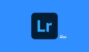 Read more about the article Lightroom Mod v9.0.1 Latest APK Download for Android