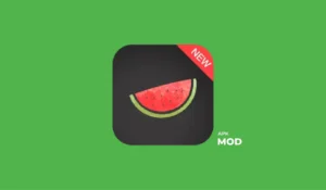 Melon Pro VPN v8.0.9 Latest APK Download for Android 6 Read more about the article Melon Pro VPN v8.0.9 Latest APK Download for Android